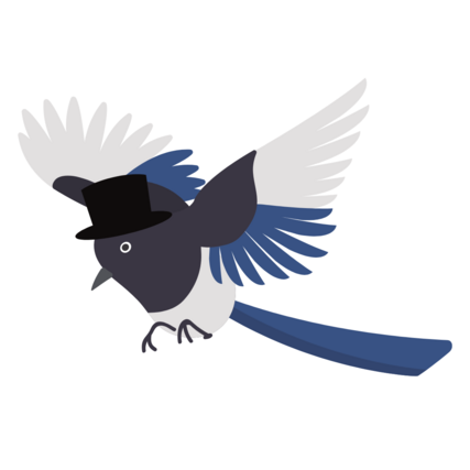 Vogel Elster mit schwarz-blauen Flügeln und schwarzem Zylinder auf dem Kopf